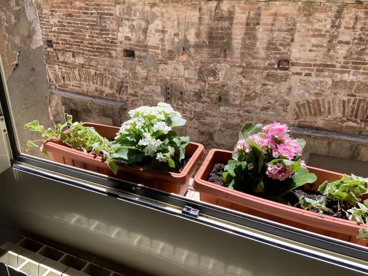Al Bel Panorama Apartman Perugia Kültér fotó